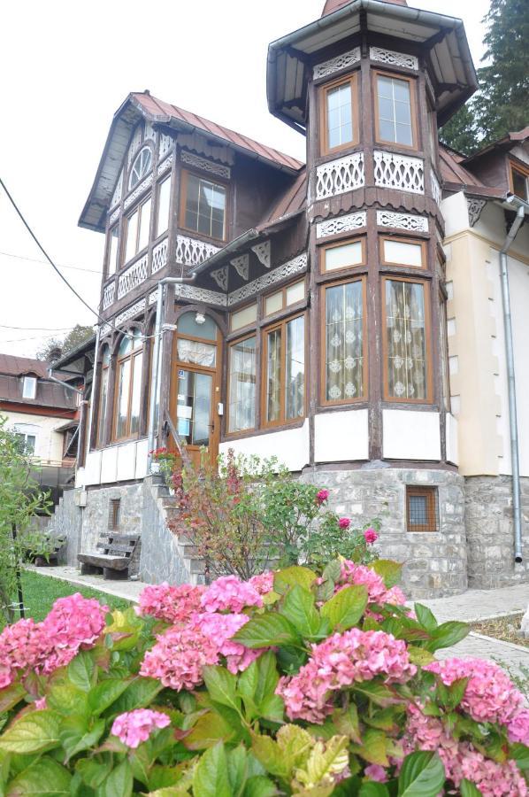 Vila Bradet Buşteni 外观 照片