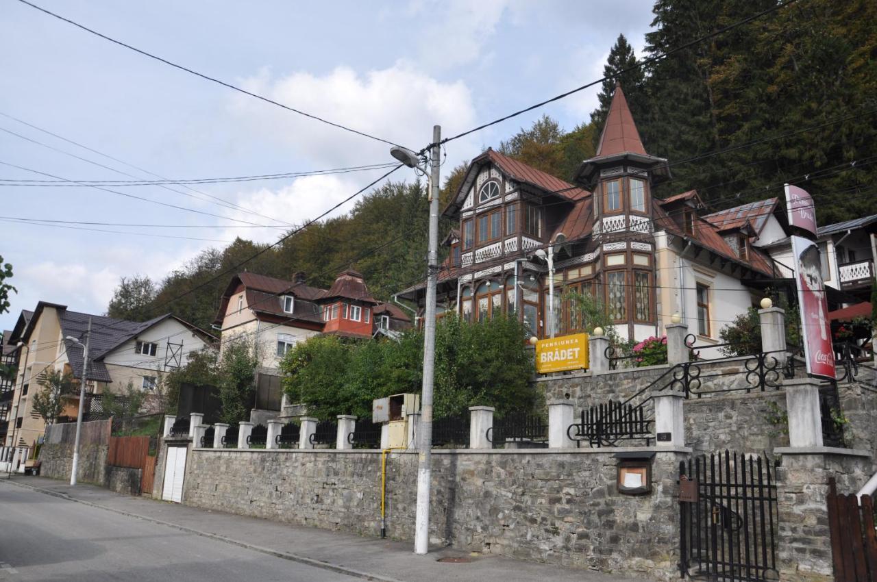 Vila Bradet Buşteni 外观 照片