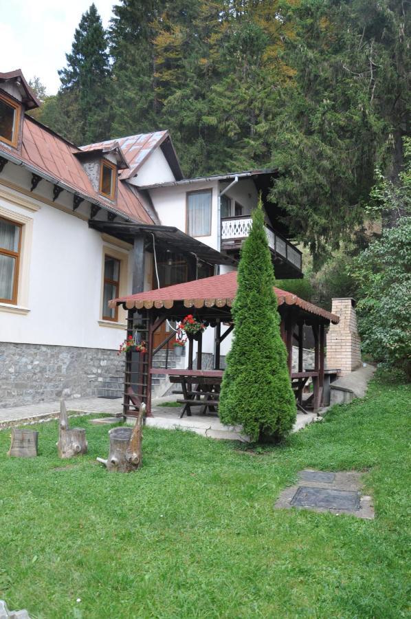Vila Bradet Buşteni 外观 照片