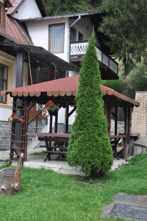 Vila Bradet Buşteni 外观 照片