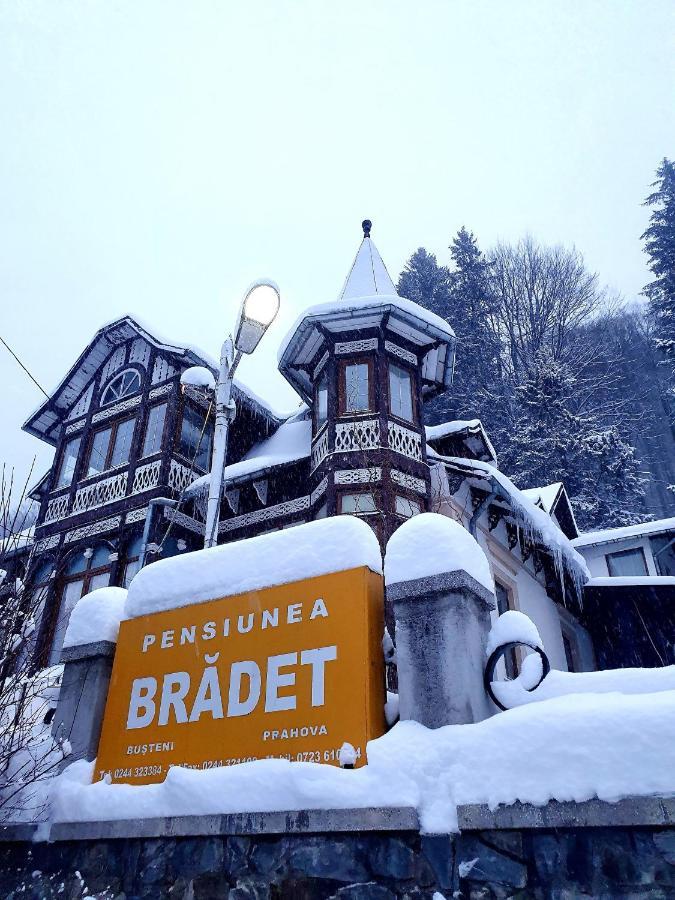 Vila Bradet Buşteni 外观 照片