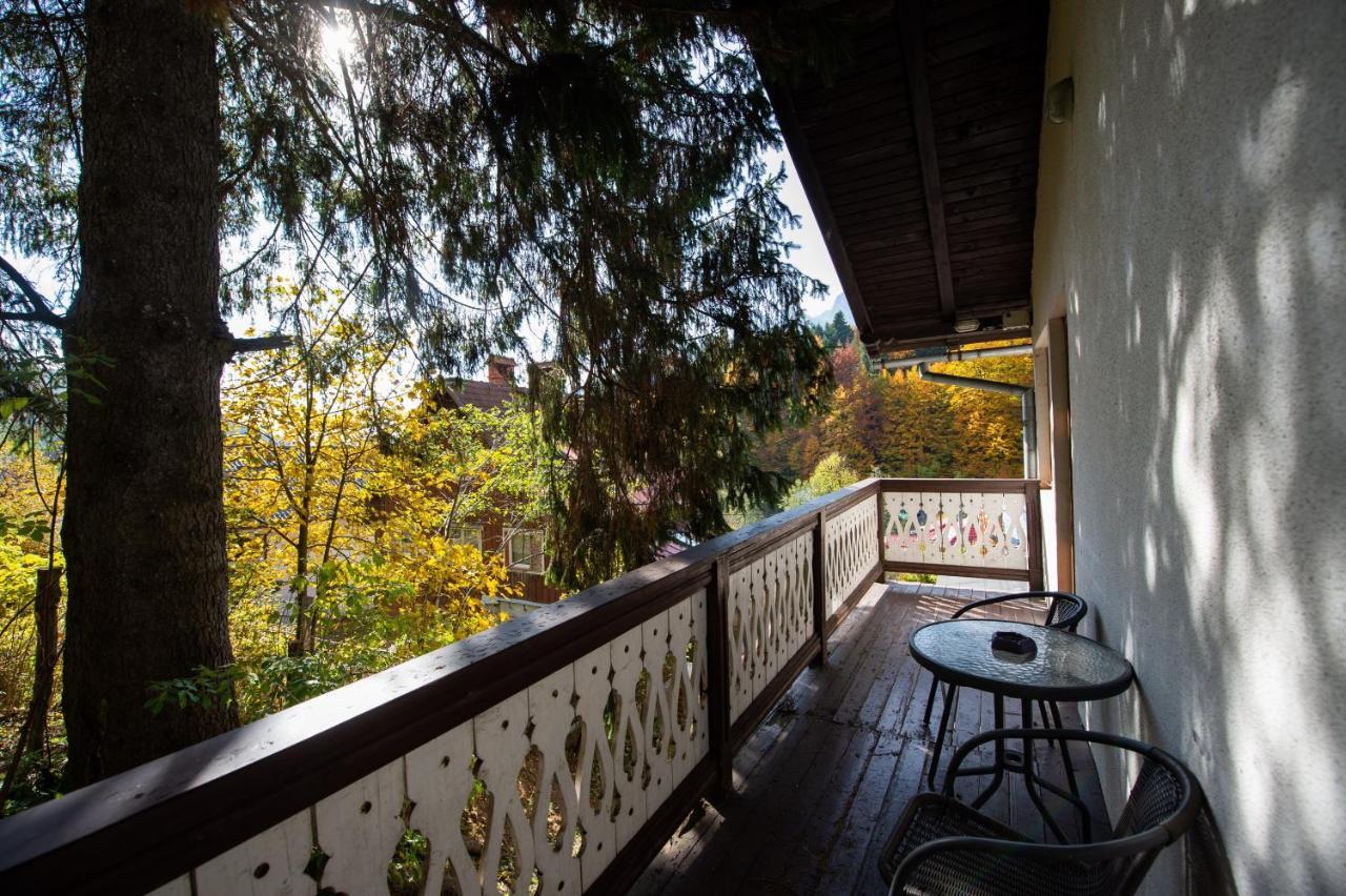 Vila Bradet Buşteni 外观 照片