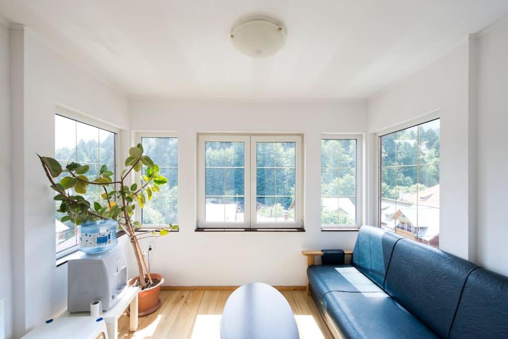 Vila Bradet Buşteni 外观 照片